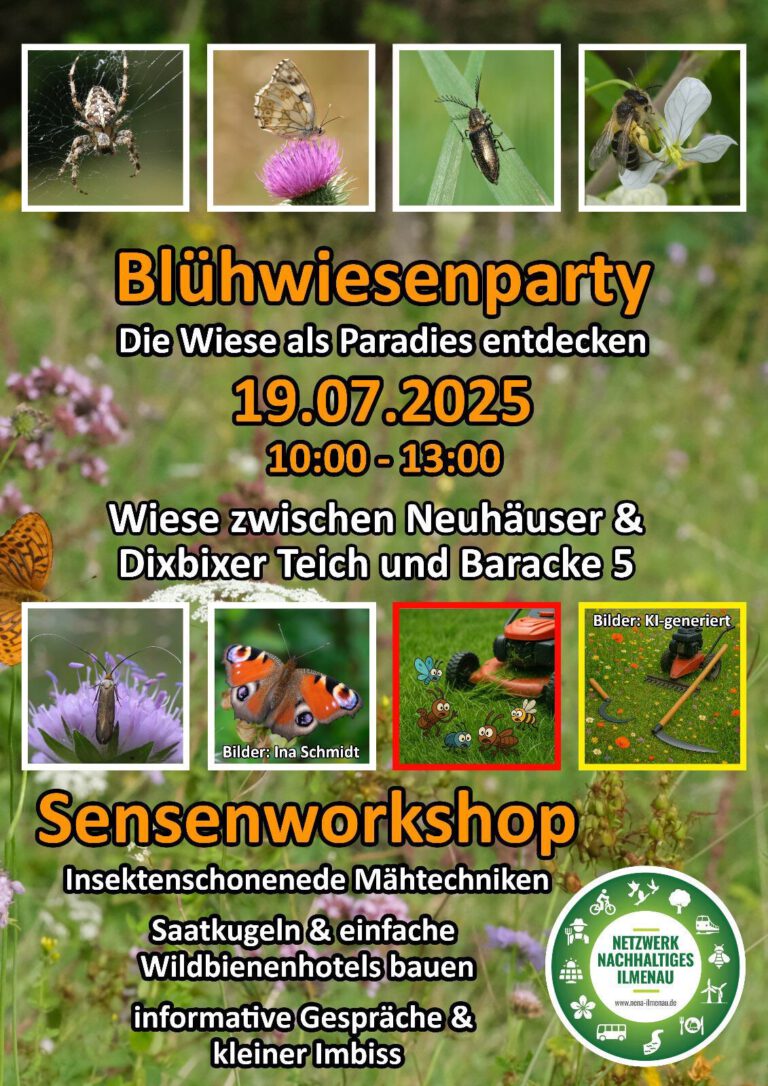 Mitmachen & Mähen: Blühwiesenparty mit Sensenworkshop in Ilmenau!
